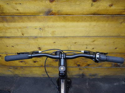RENT Giant Escape 4 Hybrid Bike