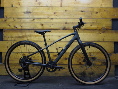 Trek Dual Sport 2 Hybrid Bike