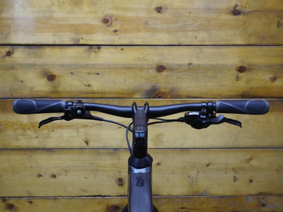 Trek Dual Sport 2 Hybrid Bike