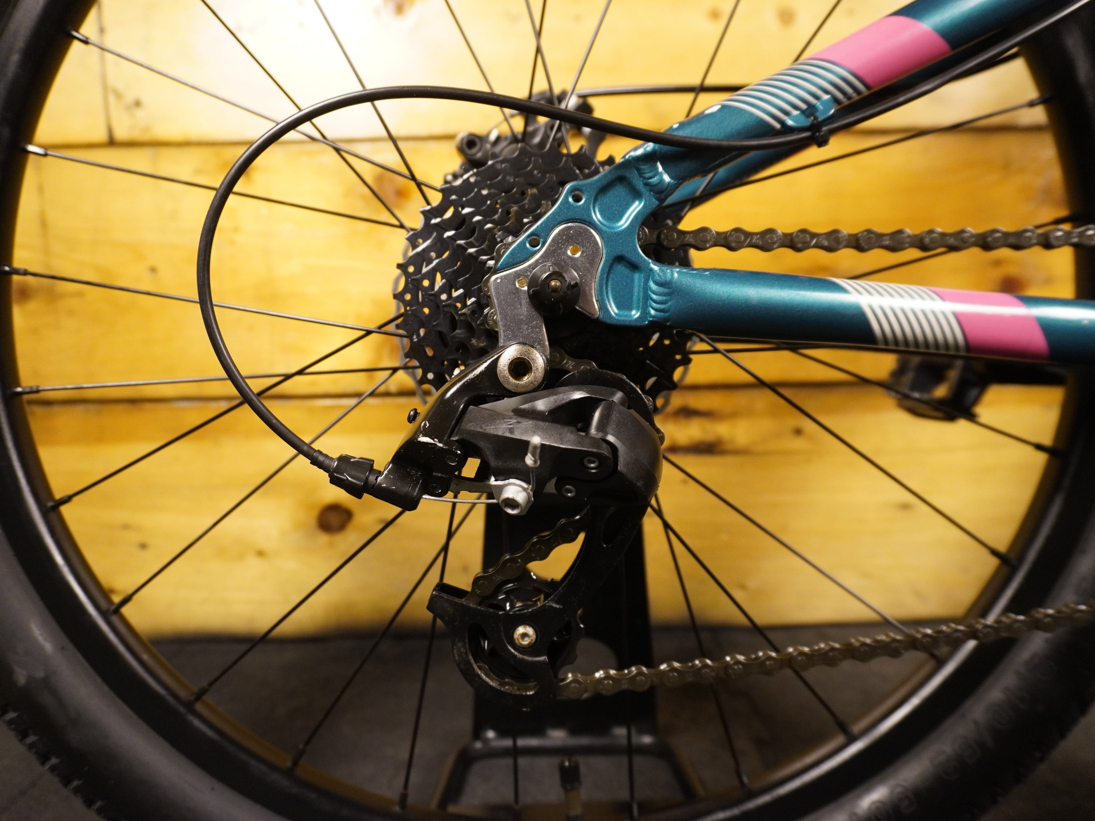 Titan Racing Calypso JR Kids Bike