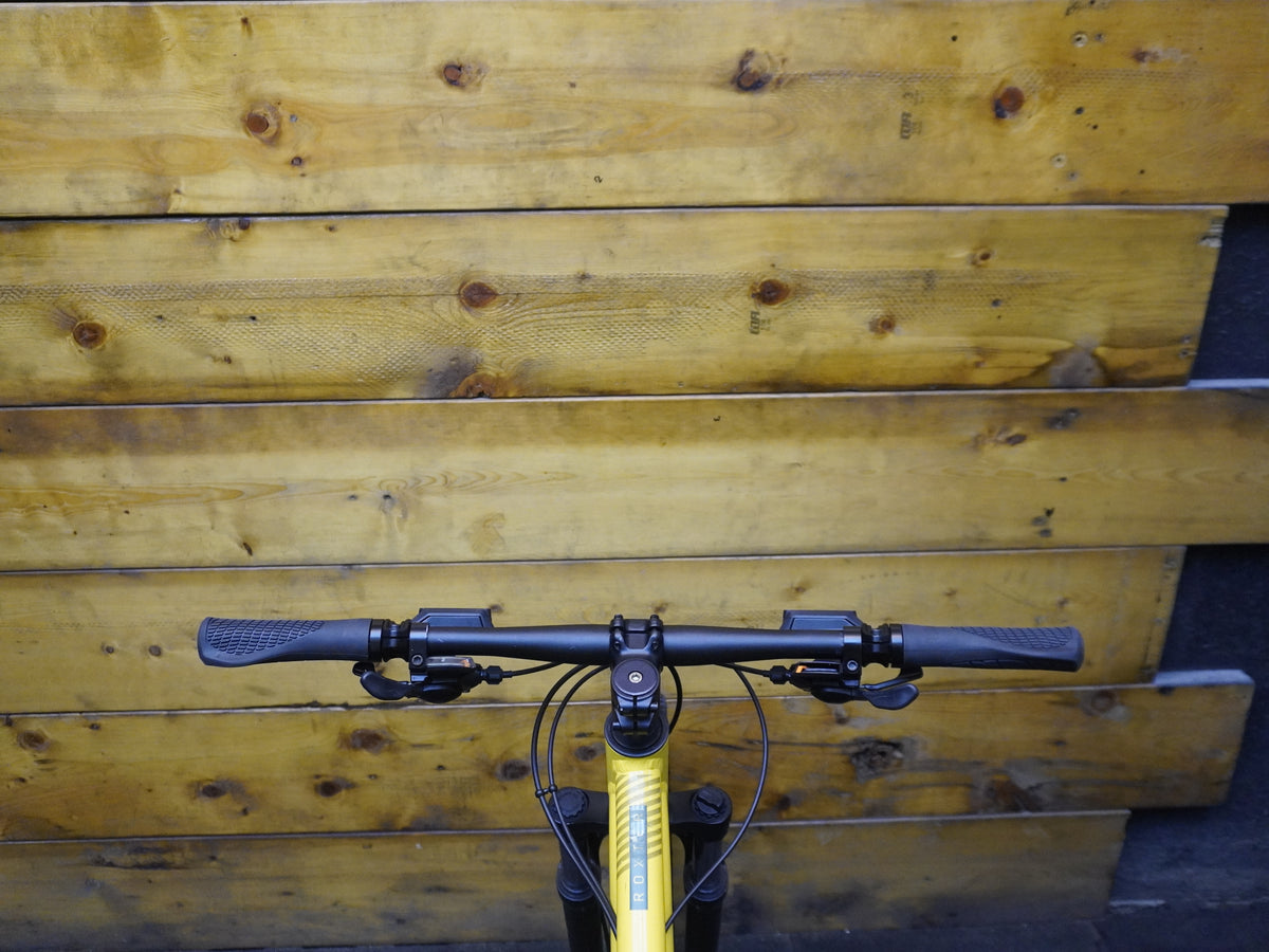 Scott Roxter 3 Mountain Bike