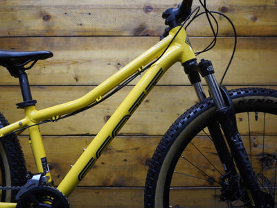 Scott Roxter 3 Mountain Bike