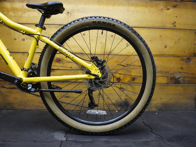 Scott Roxter 3 Mountain Bike