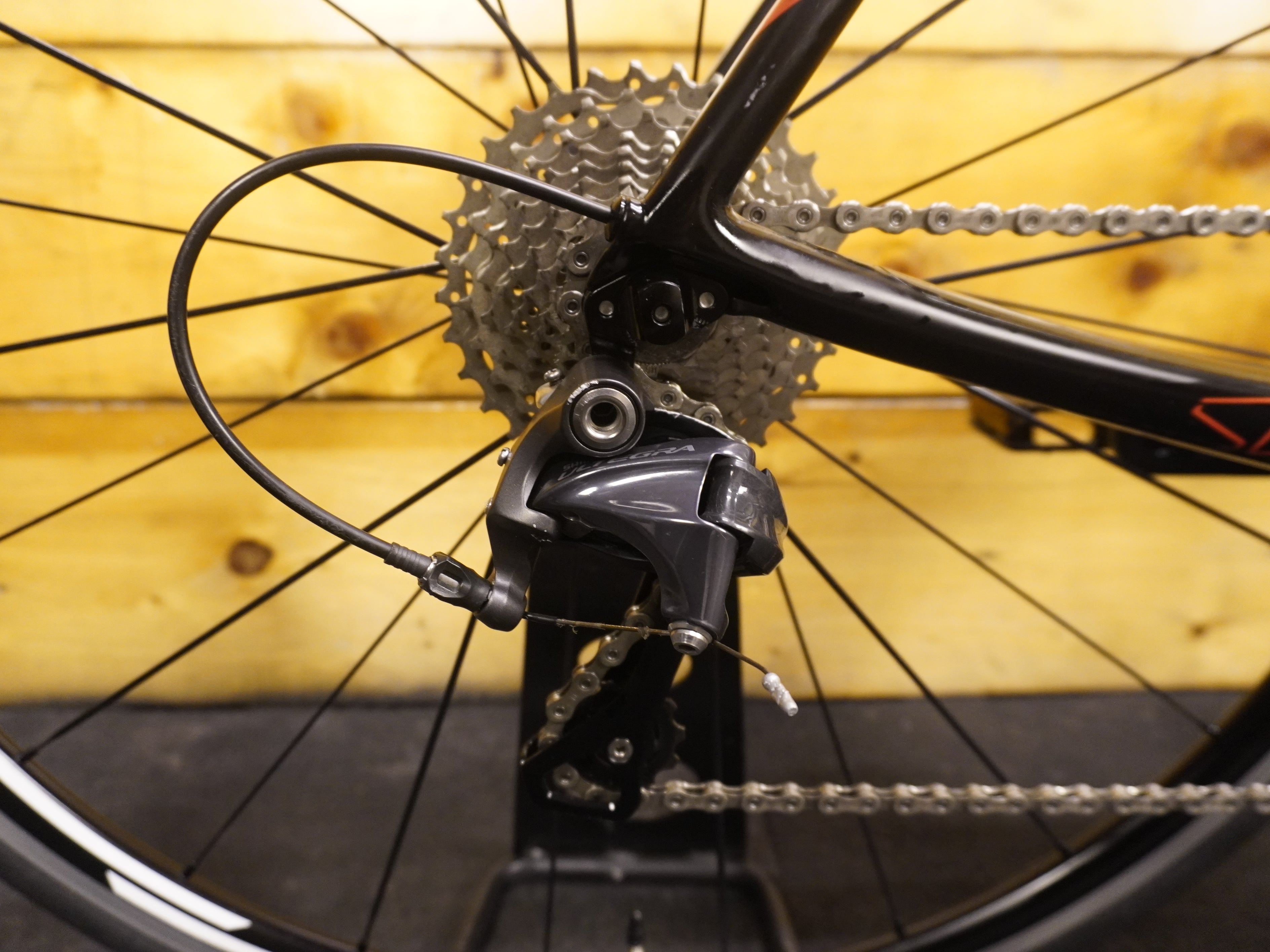 RENT Scott Solace 20 Road Bike