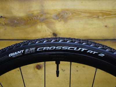Giant Revolt 2 Gravel Bike