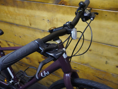 Liv Alight 3 Hybrid Bike