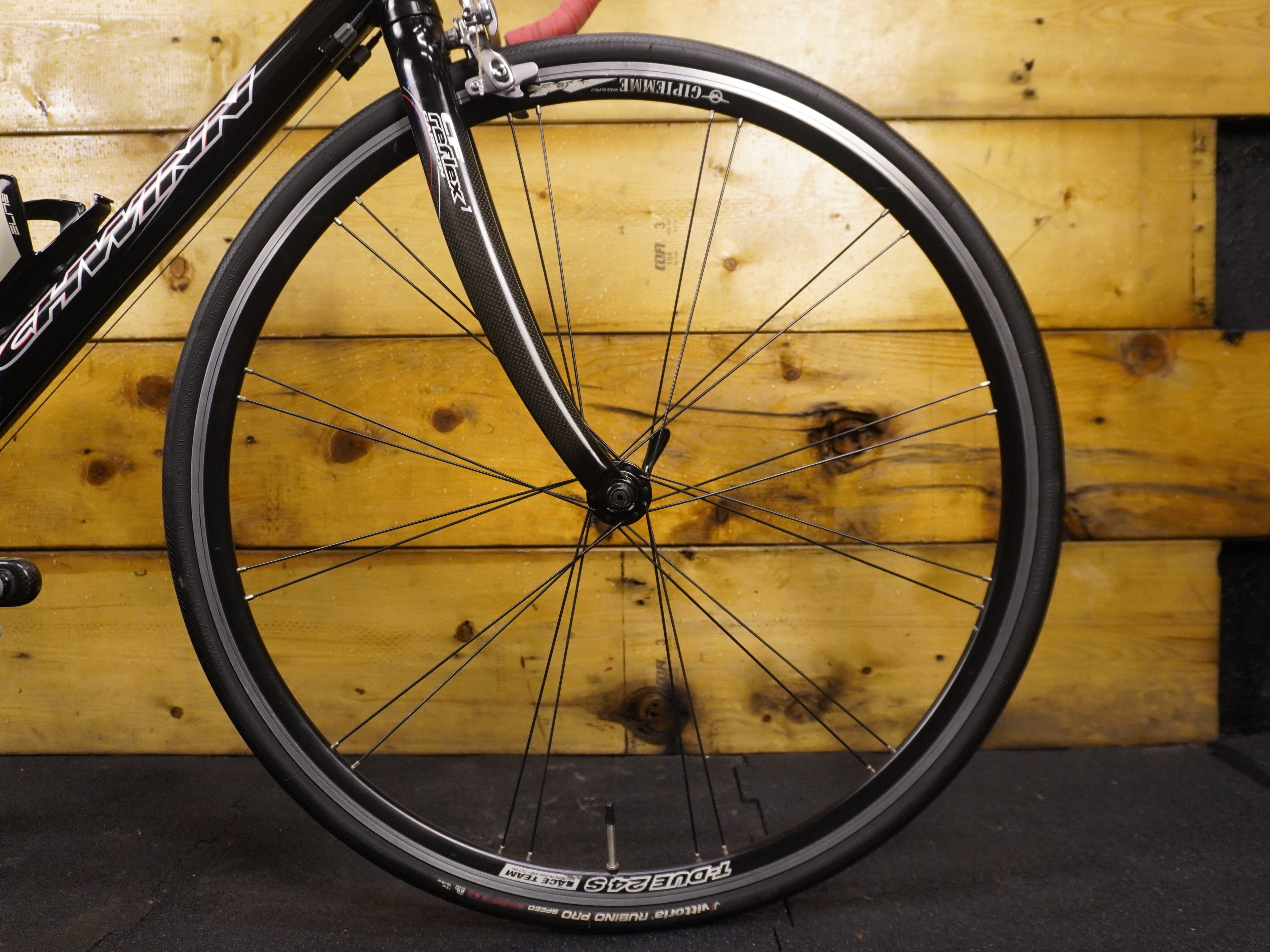 Schwinn Fastback Pro Road Bike