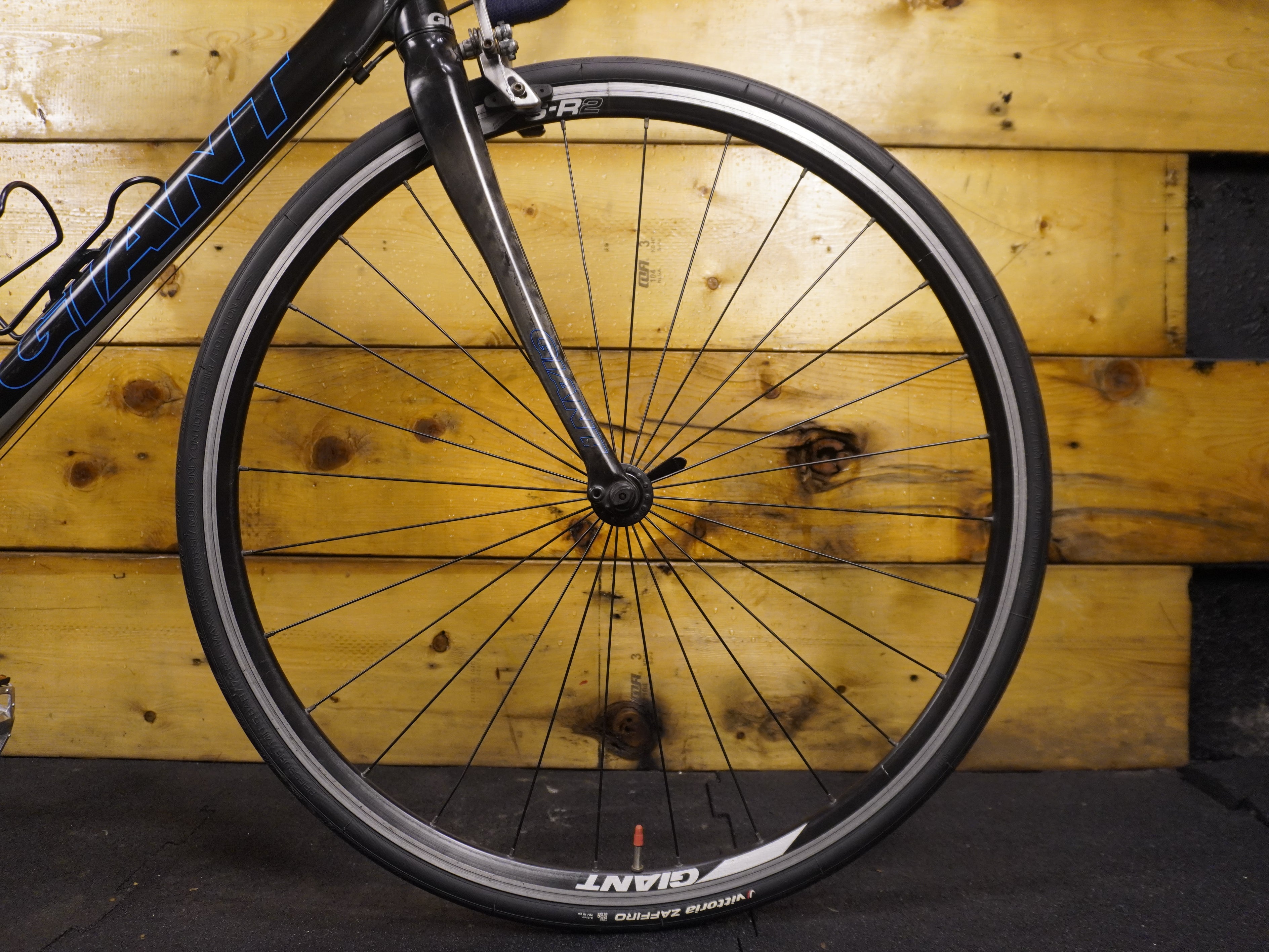 RENT Giant Pace Road Bike