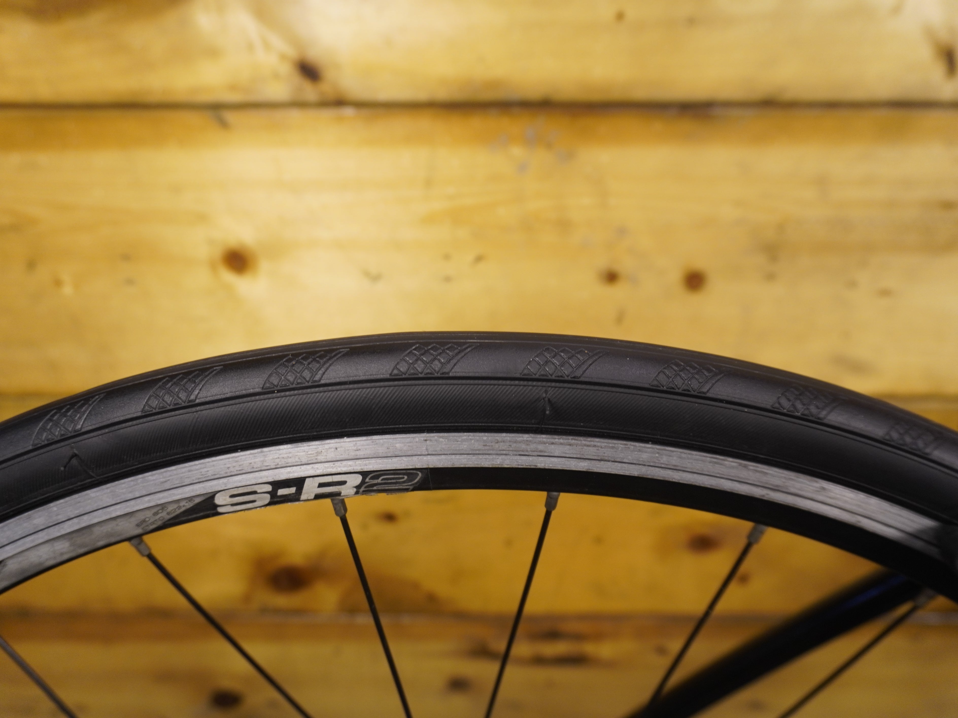 RENT Giant Pace Road Bike