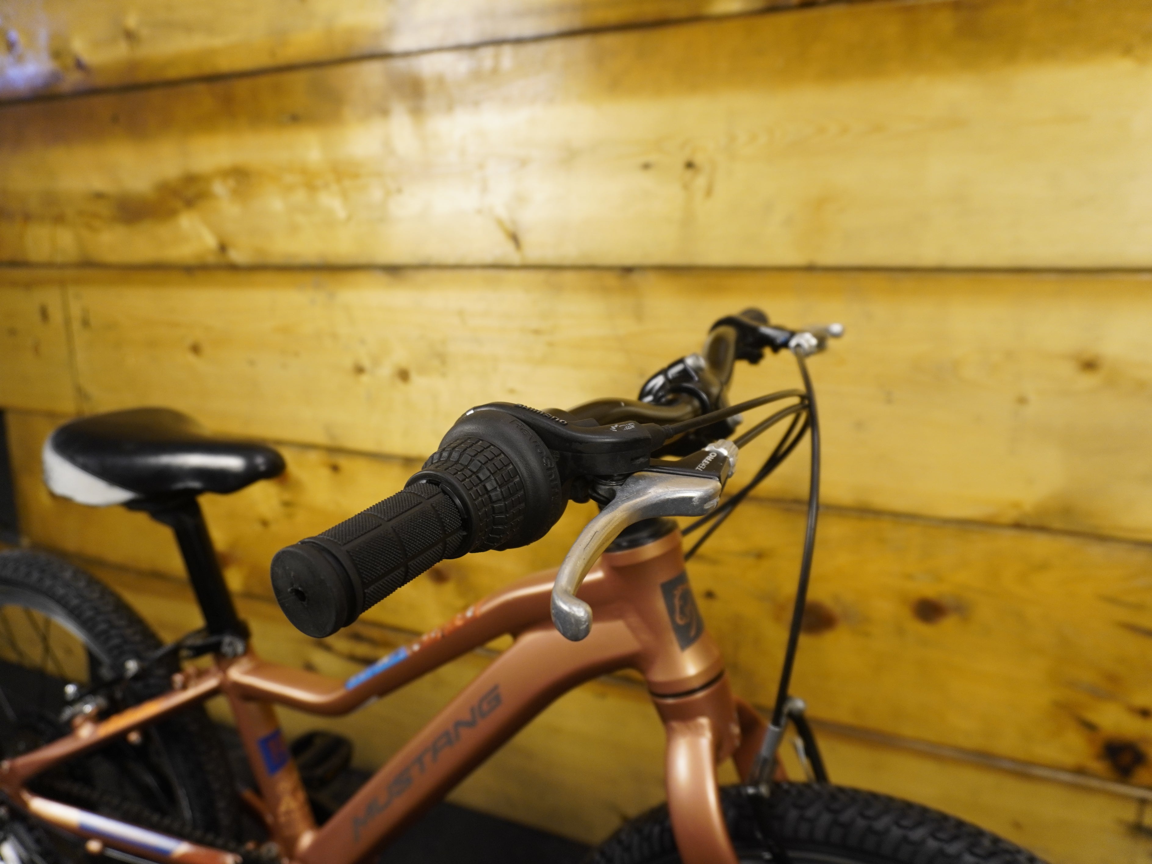 RENT Mustang Appaloosa 18 kids Bike