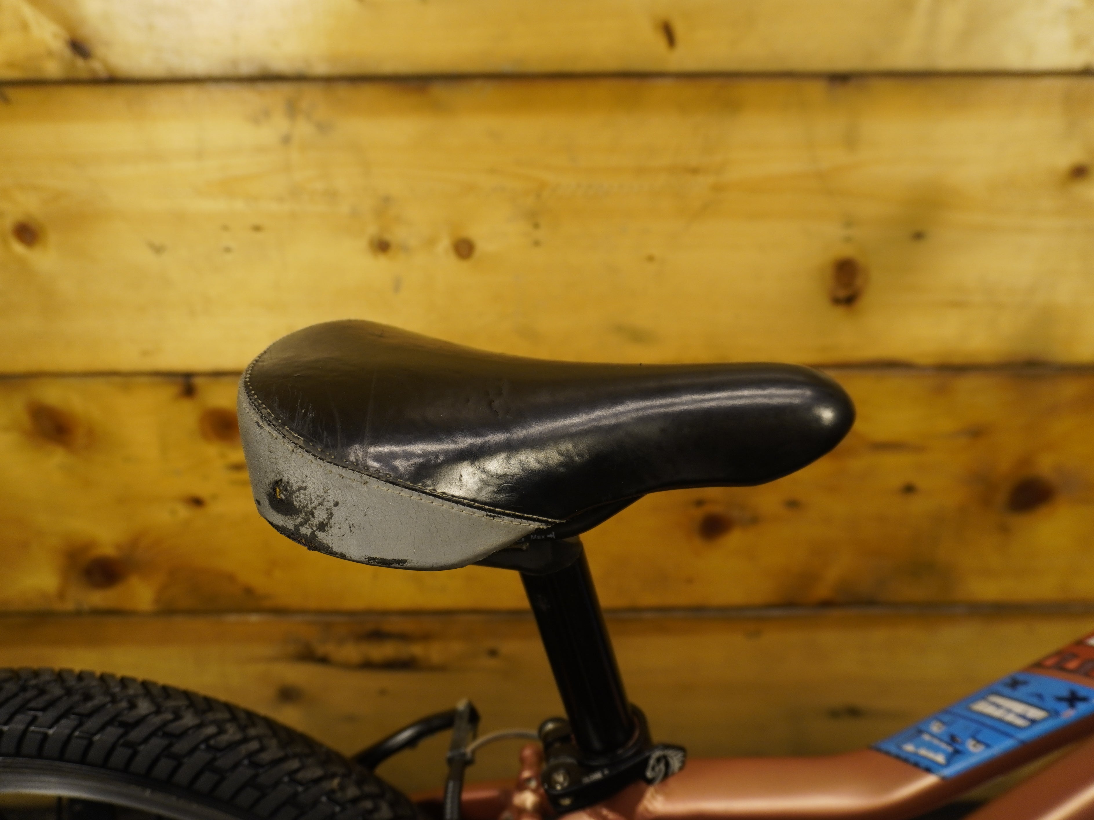 RENT Mustang Appaloosa 18 kids Bike