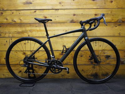 RENT Trek Domane AL 2 Road Bike