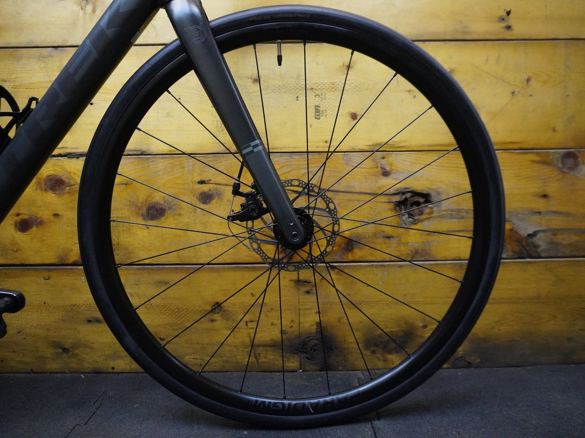 RENT Trek Domane AL 2 Road Bike