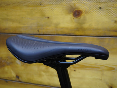 RENT Trek Domane AL 2 Road Bike
