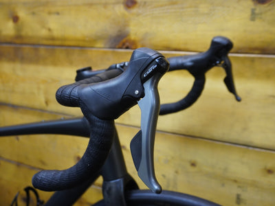 RENT Trek Domane AL 2 Road Bike