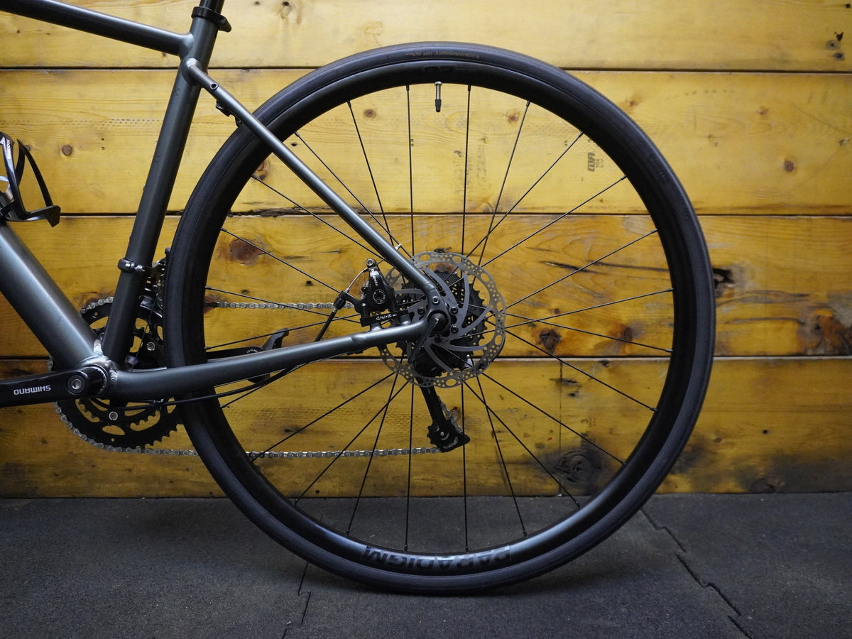 RENT Trek Domane AL 2 Road Bike