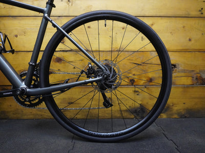 RENT Trek Domane AL 2 Road Bike