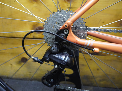 RENT Specialized Dolce Sport Road Bike