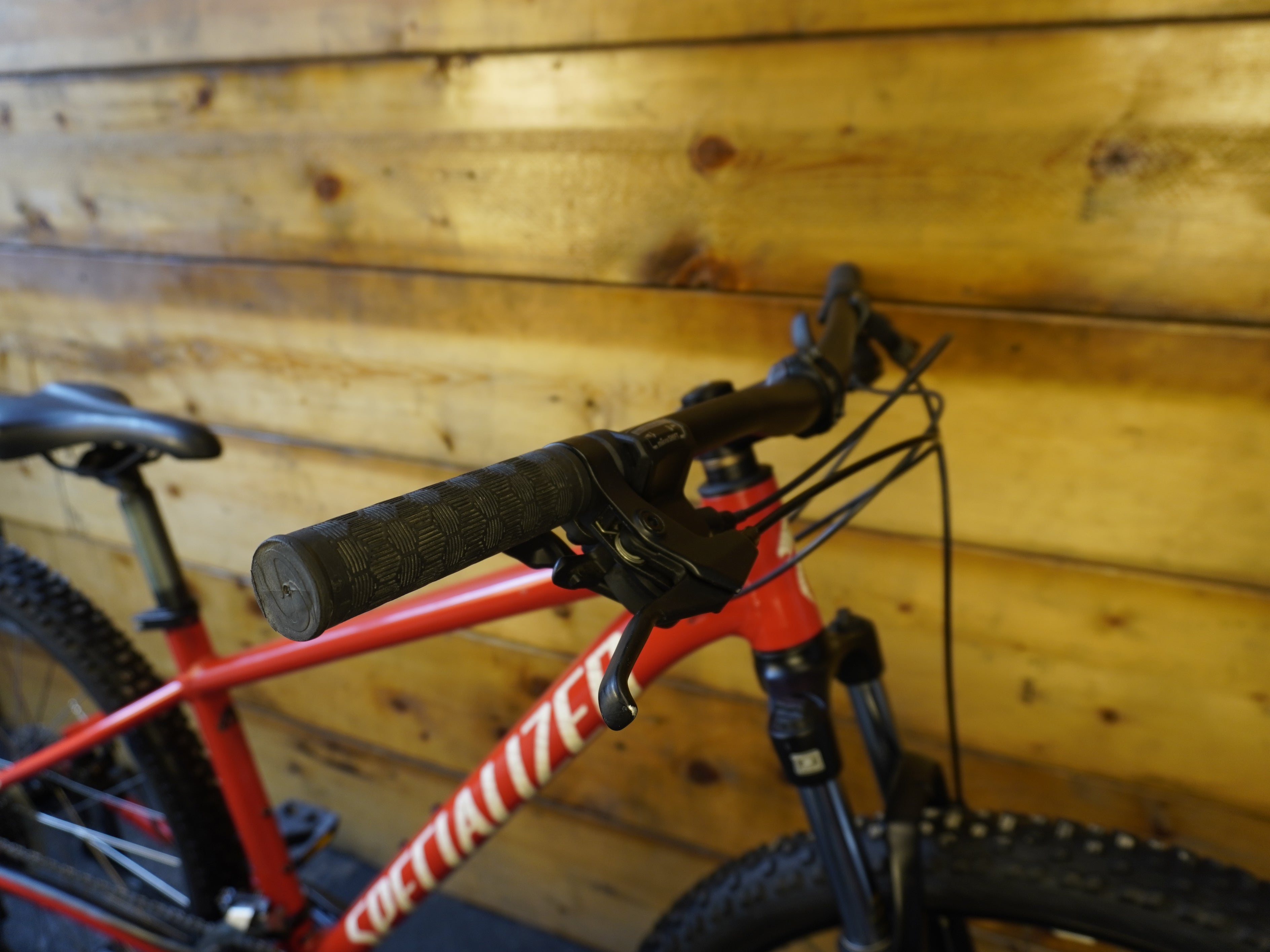 RENT Specialized Rockhopper Mountain Bike