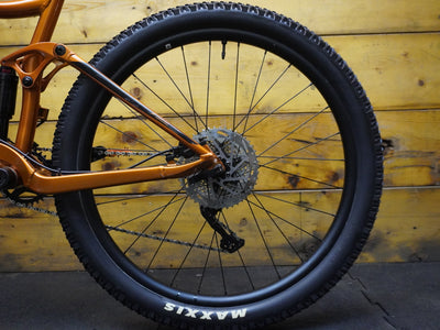 RENT Giant Stance Mountain Bike
