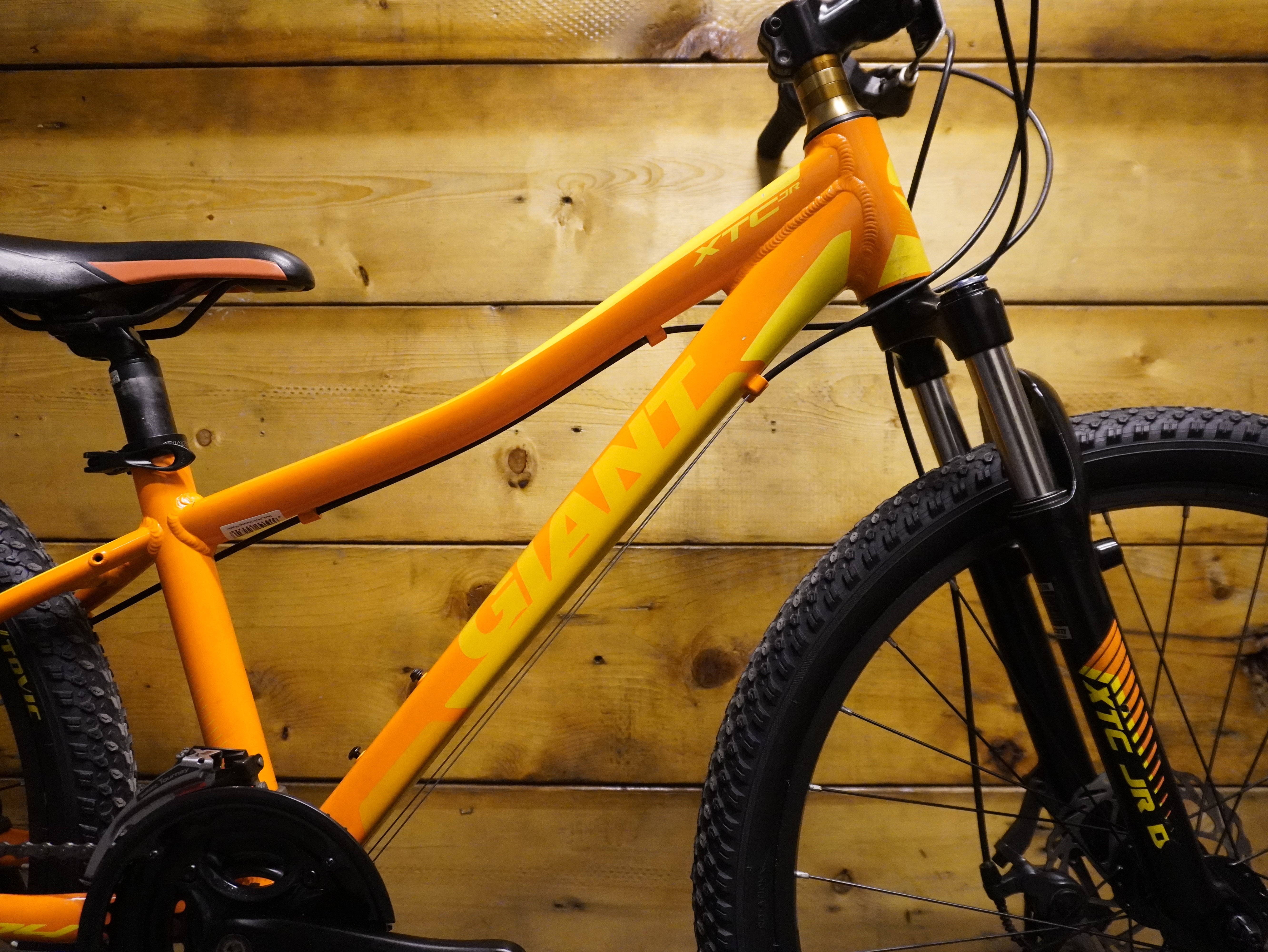 RENT Giant XTC Jr 24 kids Bike