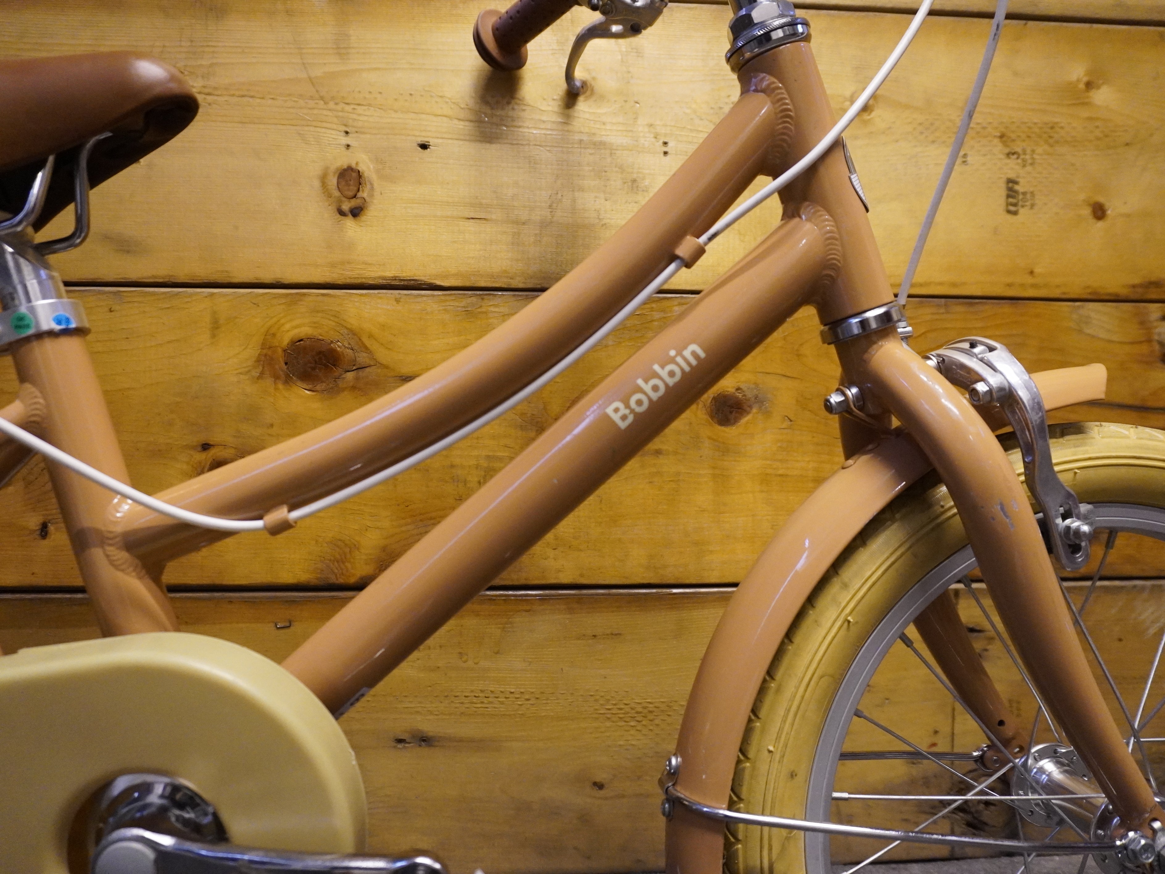 Bobbin Gingersnap Kids Bike