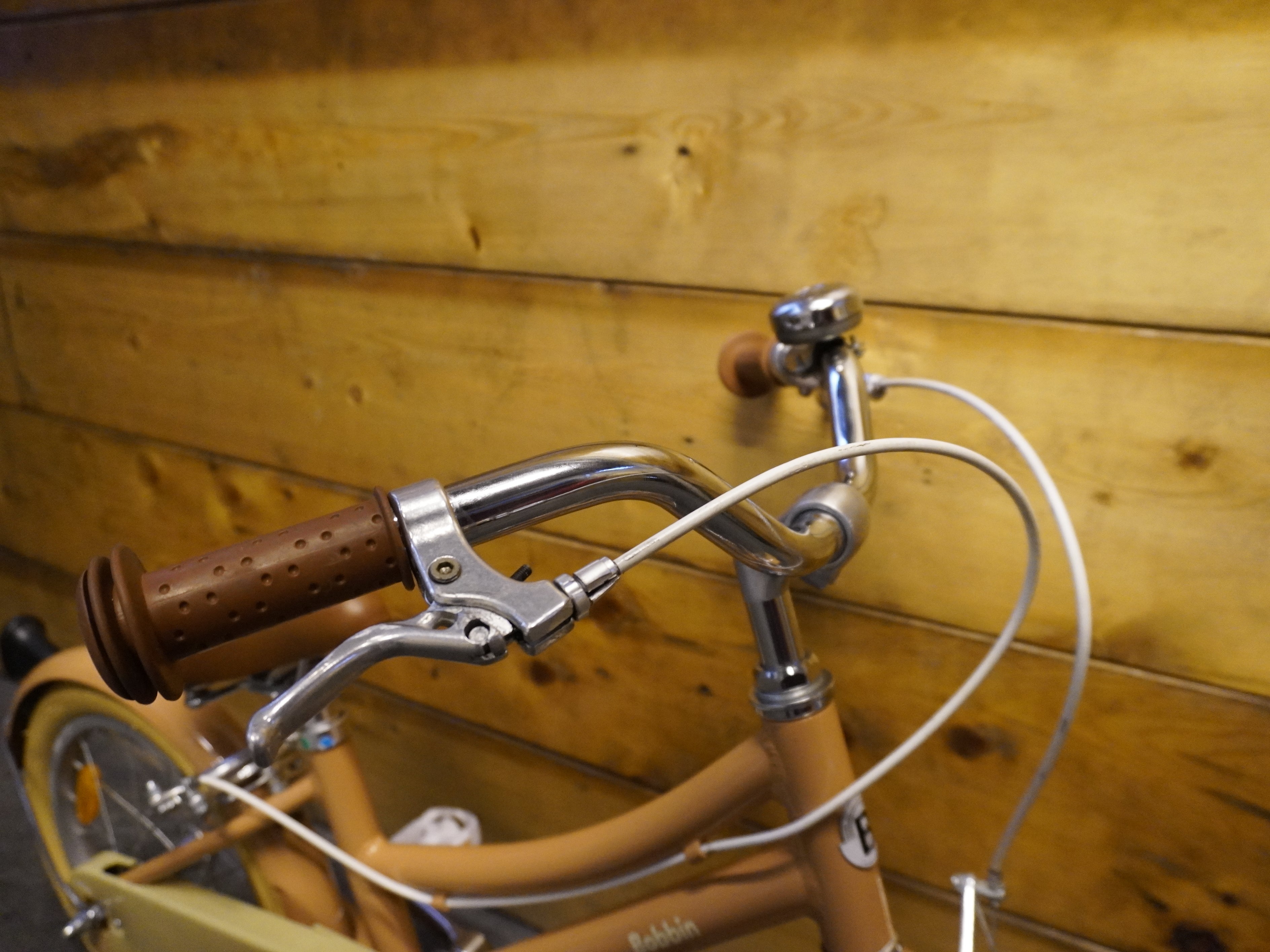 Bobbin Gingersnap Kids Bike