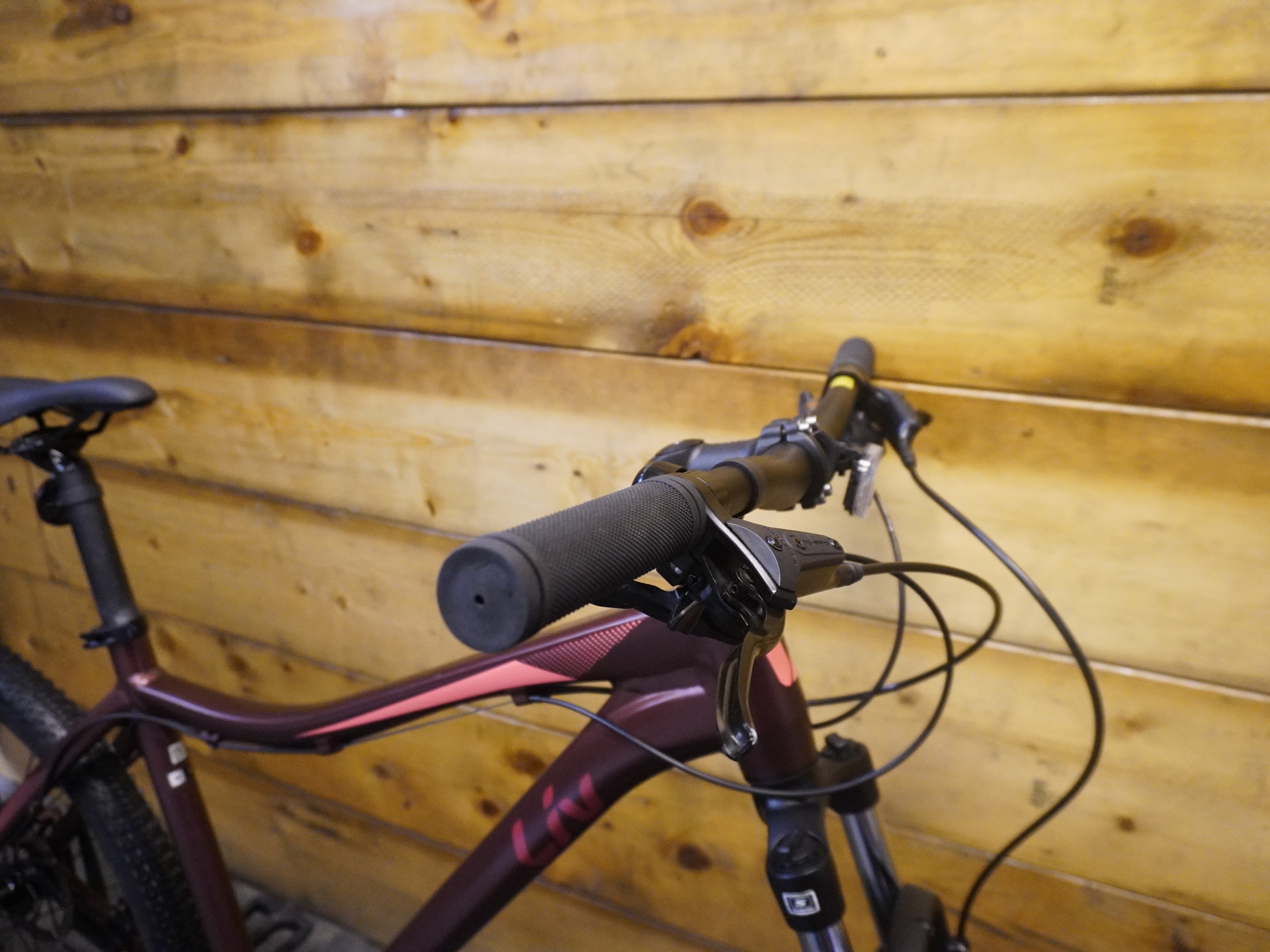 RENT Liv Bliss 2 Mountain Bike
