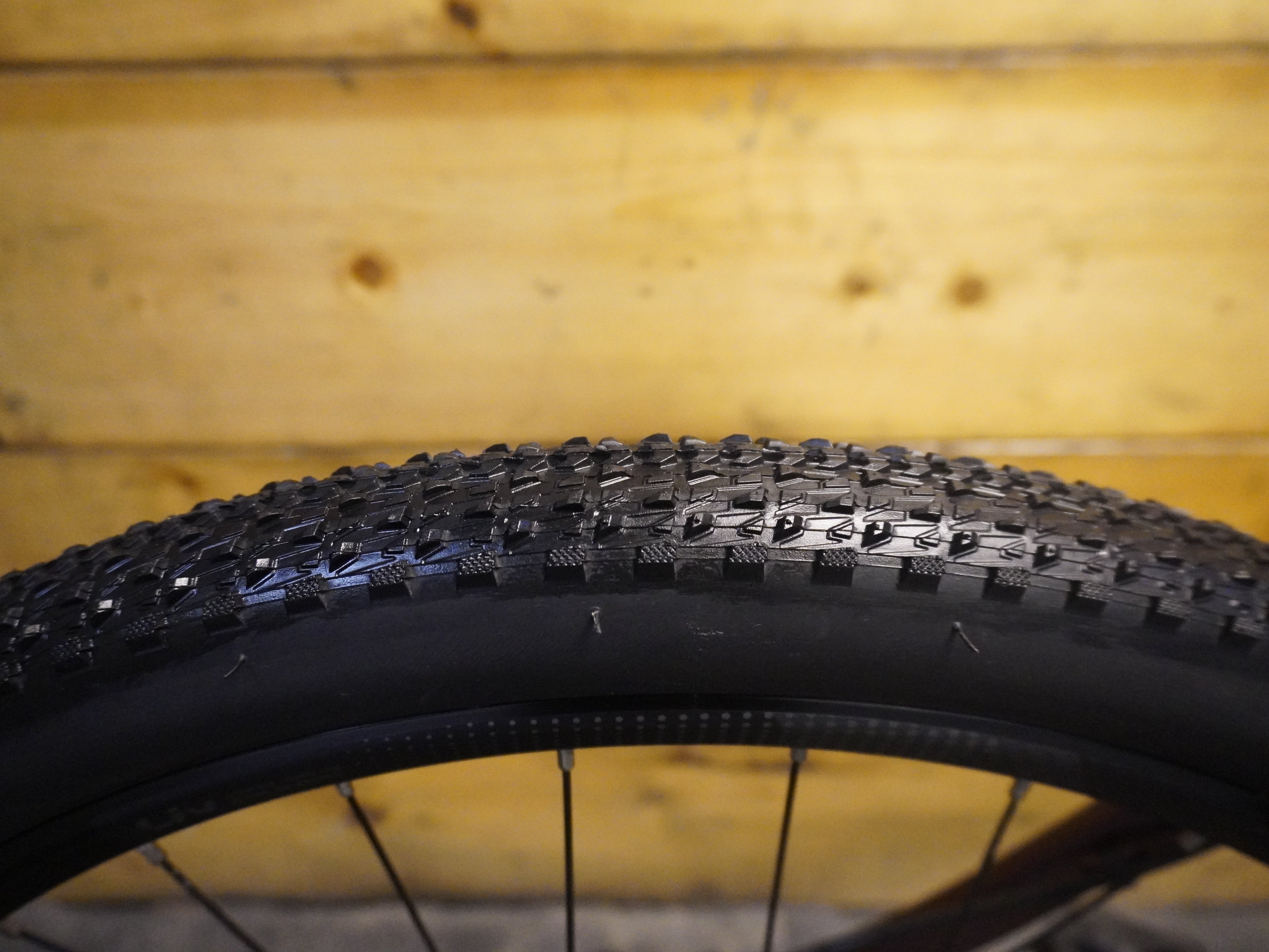 RENT Liv Bliss 2 Mountain Bike