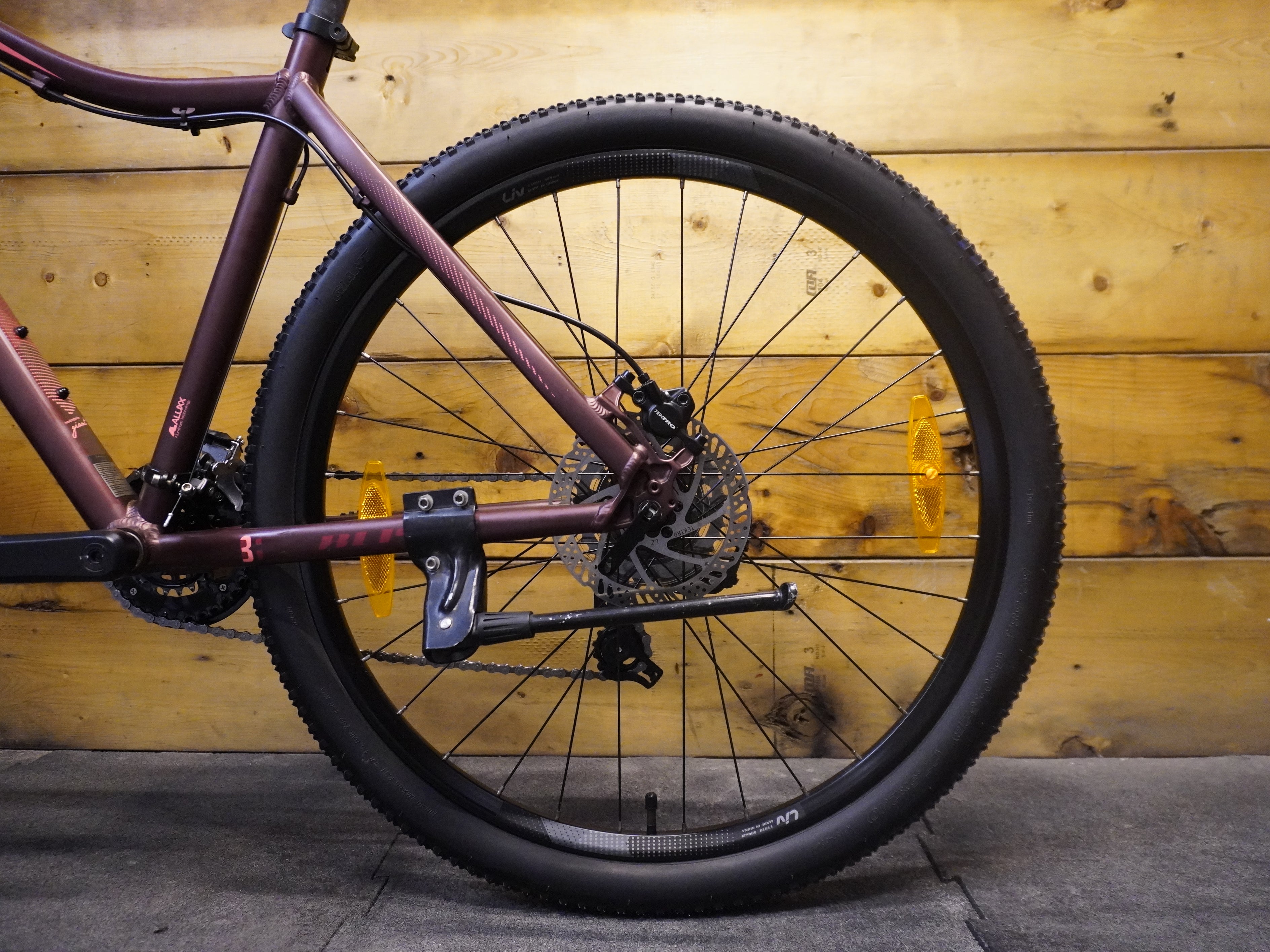 RENT Liv Bliss 2 Mountain Bike