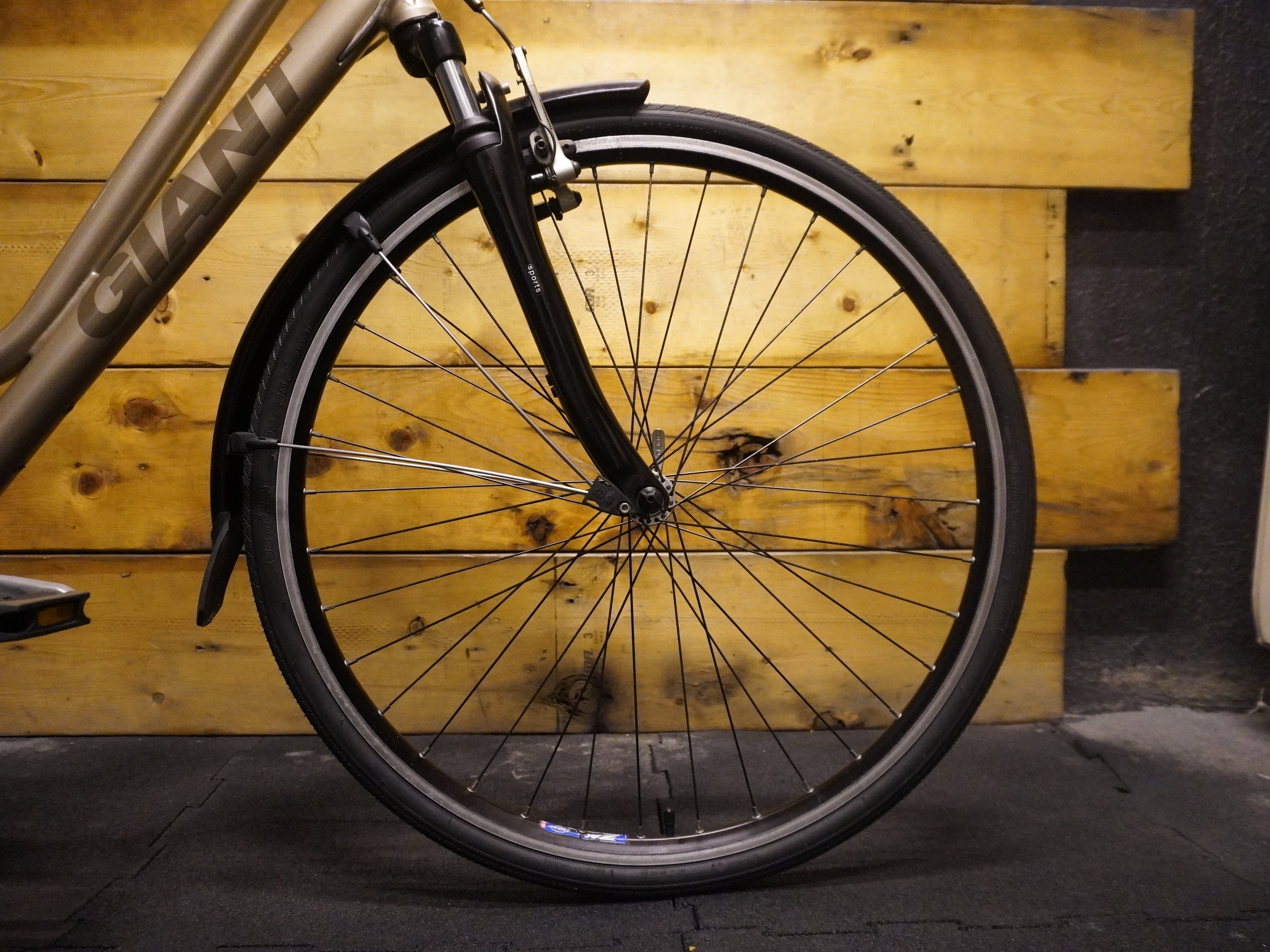 Giant Escaper City Bike