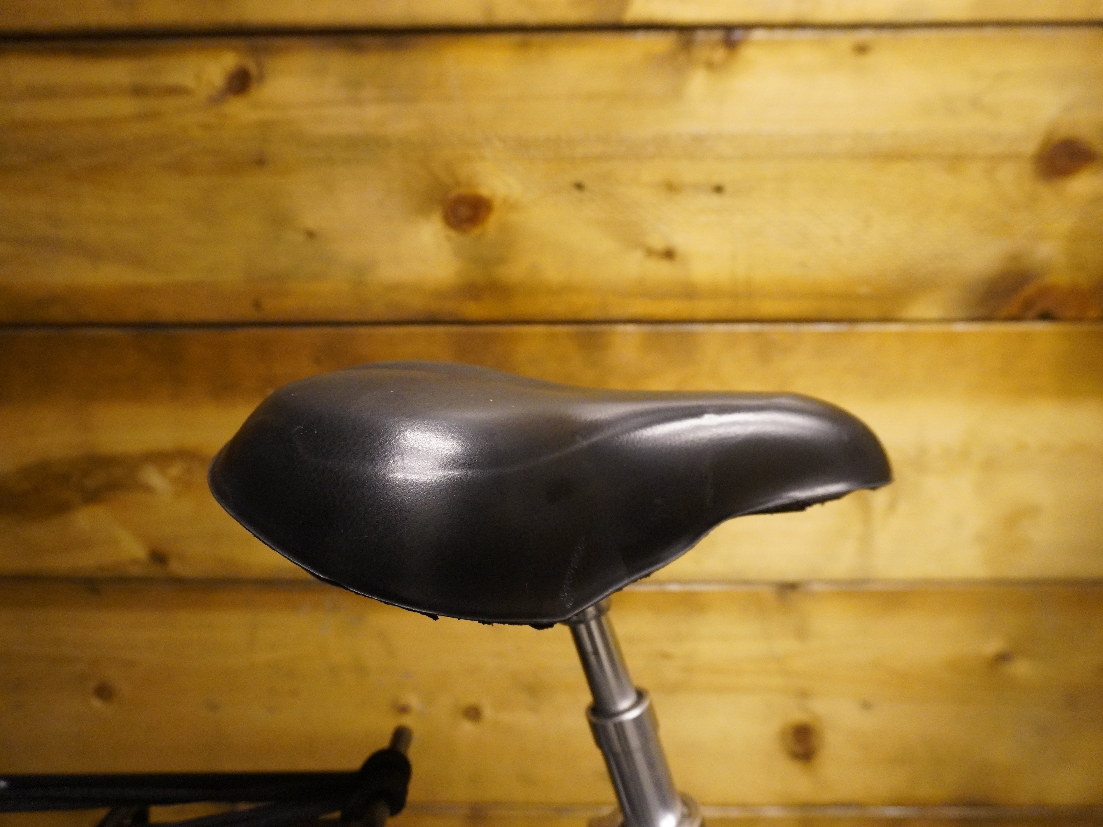 Giant Escaper City Bike