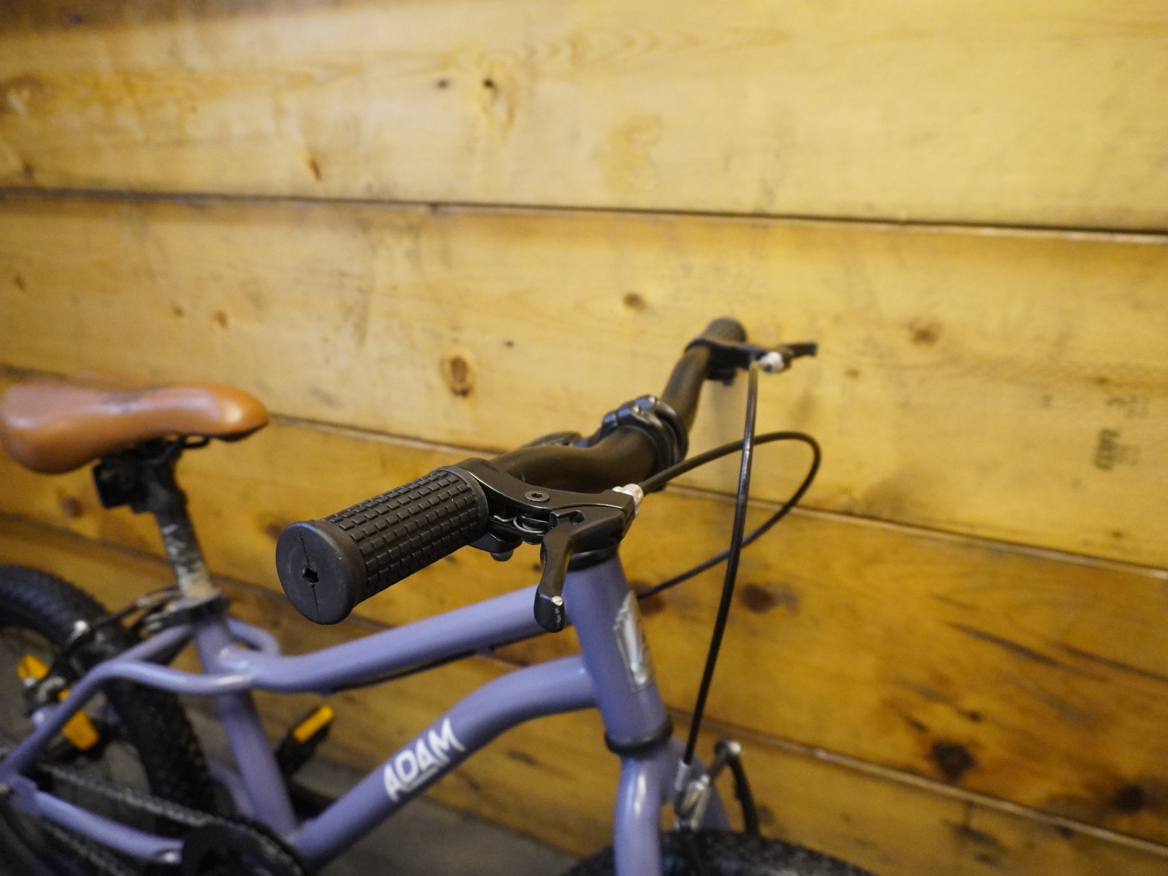RENT The Dutch Style Adam City Bike