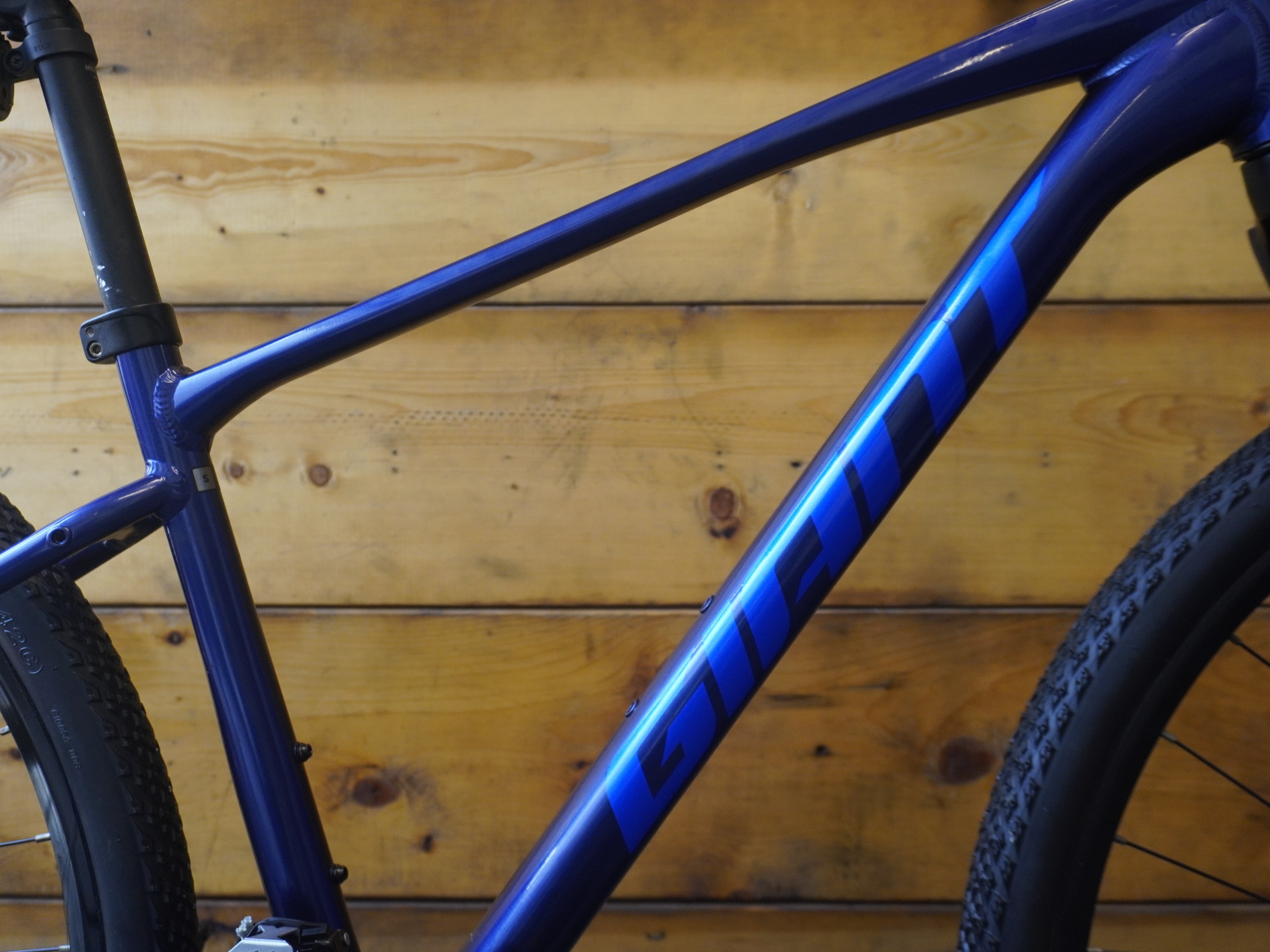 Giant Roam 4 Mountain Bike