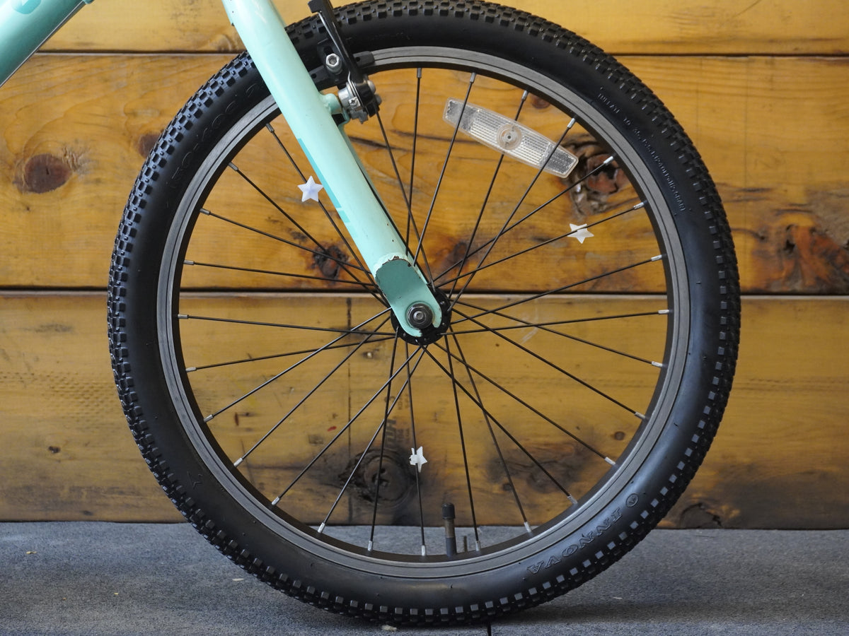Liv Enchant Kids Bike