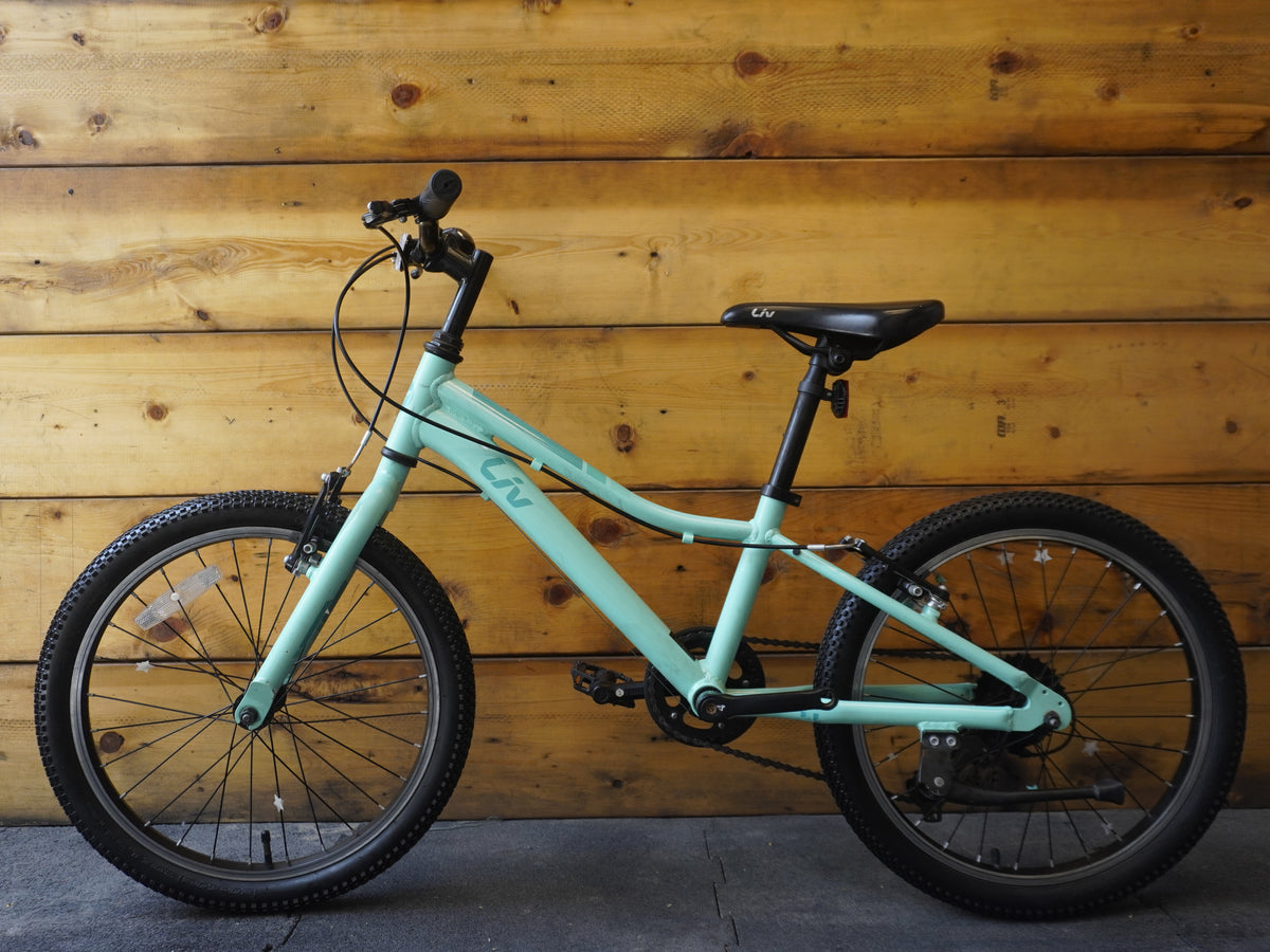 Liv Enchant Kids Bike