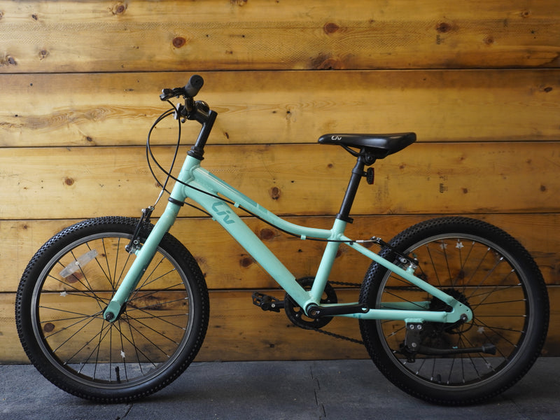 Liv Enchant Kids Bike