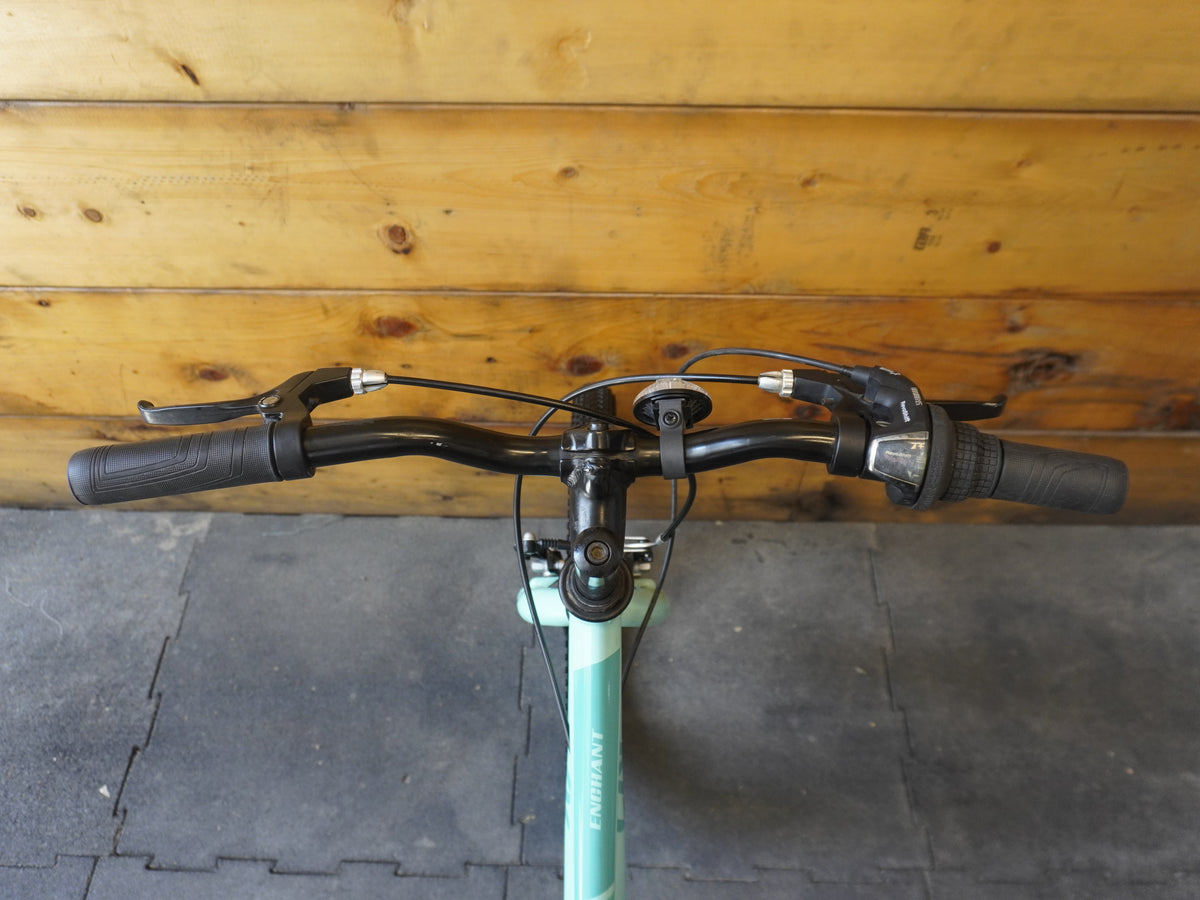 Liv Enchant Kids Bike