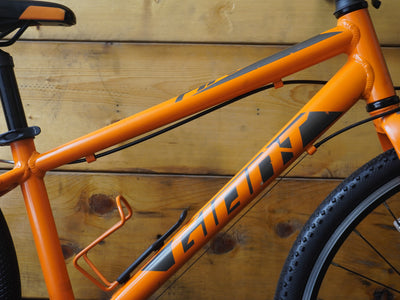 Giant ARX 24 Kids Bike