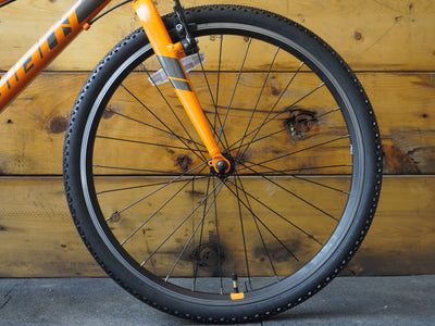 Giant ARX 24 Kids Bike