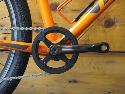 Giant ARX 24 Kids Bike
