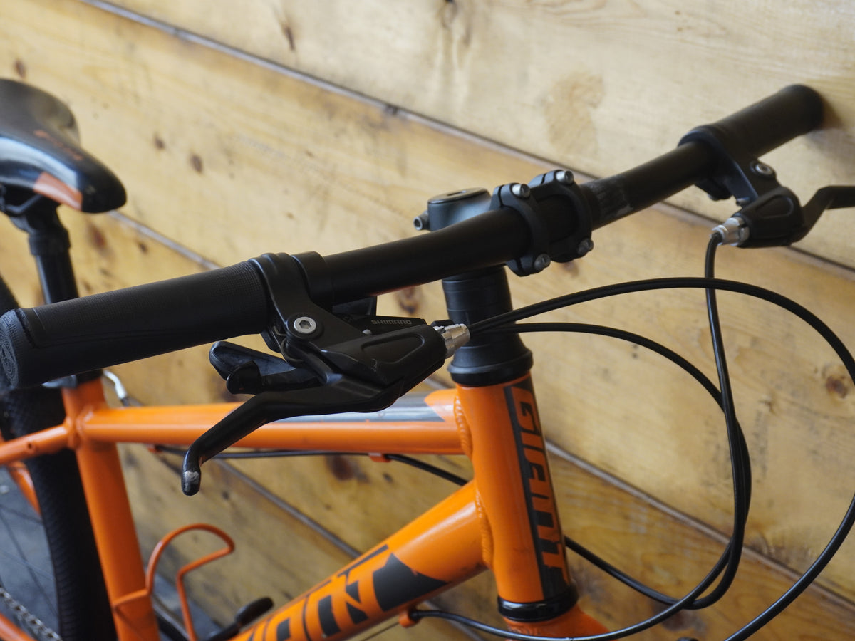 Giant ARX 24 Kids Bike