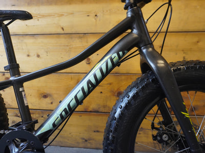 RENT Specialized Fat Boy Kids Bike
