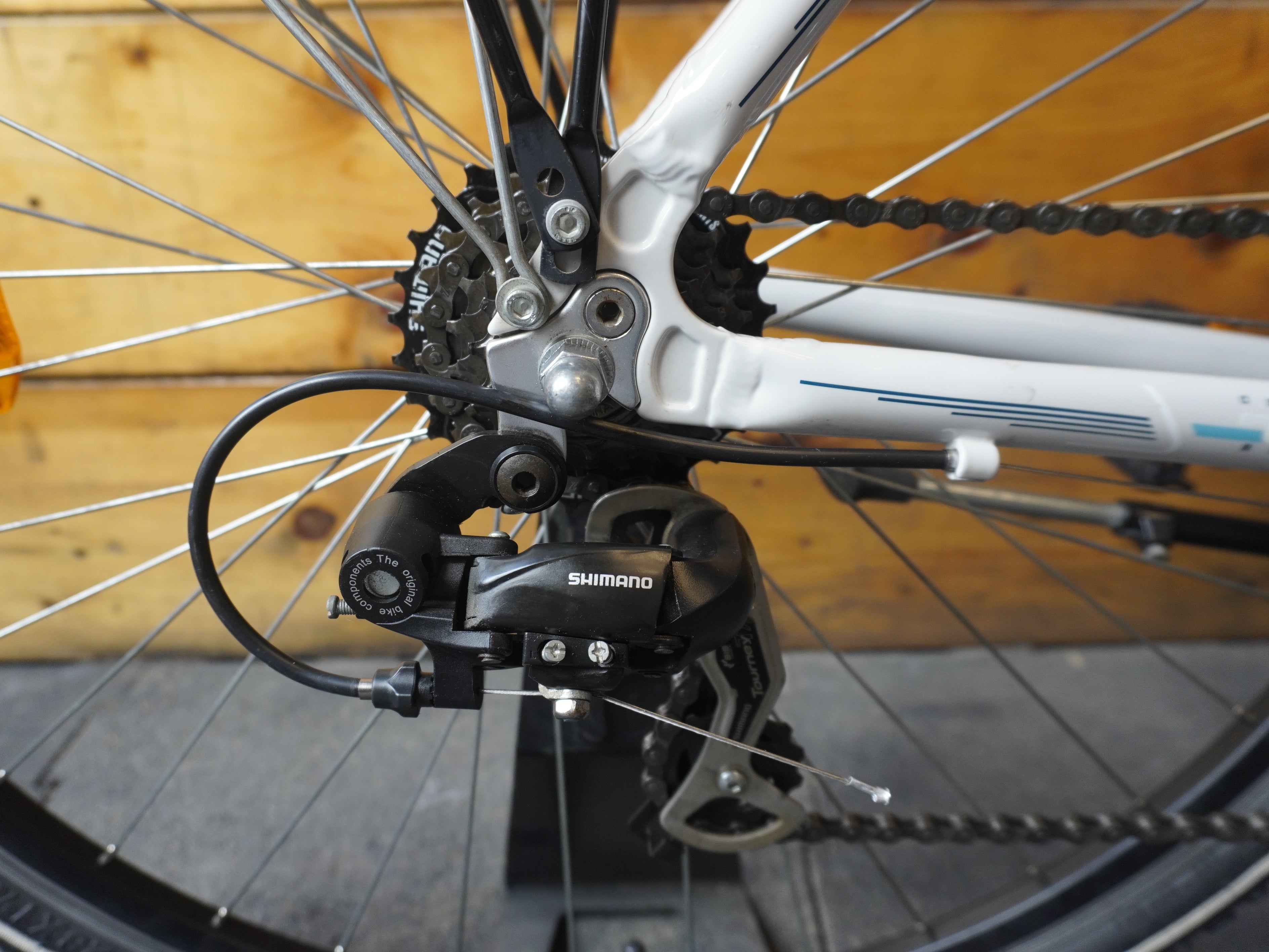 RENT Dancelli Livorno City Bike