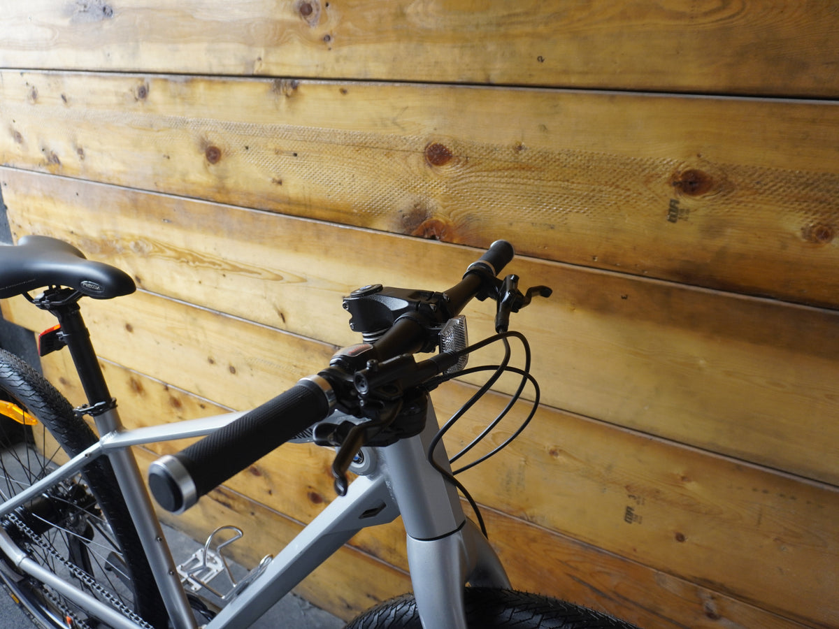 BMW Hybrid Bike