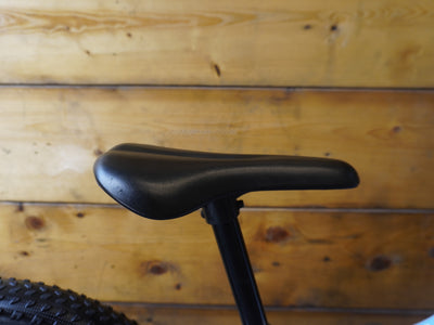 Trek Precaliber 20" Kids Bike