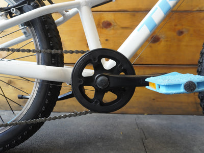 Trek Precaliber 20" Kids Bike