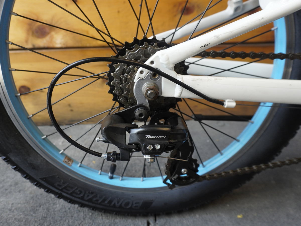 Trek Precaliber 20" Kids Bike