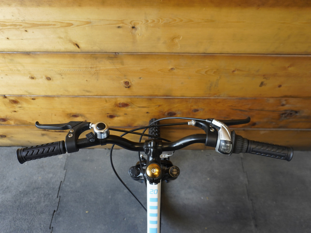 Trek Precaliber 20" Kids Bike