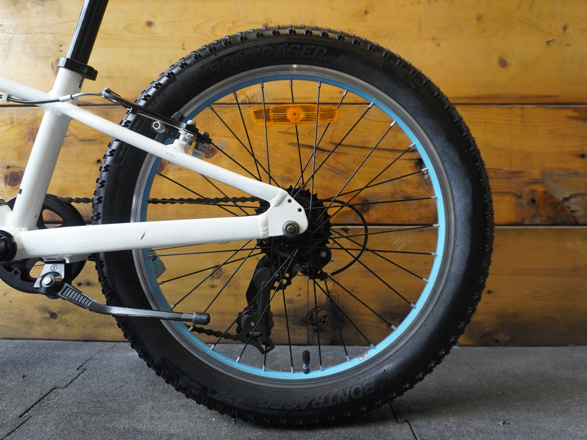 Trek Precaliber 20" Kids Bike